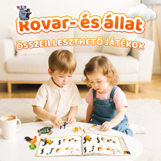 🐞 Szerelhető rovar-makett, többször is szétszerelhető és összerakható