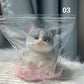 😻 Aranyos és puha macska alakú játék 💕 (stresszoldó játék)