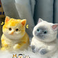 😻 Aranyos és puha macska alakú játék 💕 (stresszoldó játék)