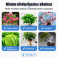 【🌷 Még a kiszáradt fák is kihajthatnak】 Gyorsan ható, regeneráló, vízoldható virágélesztő-trágya