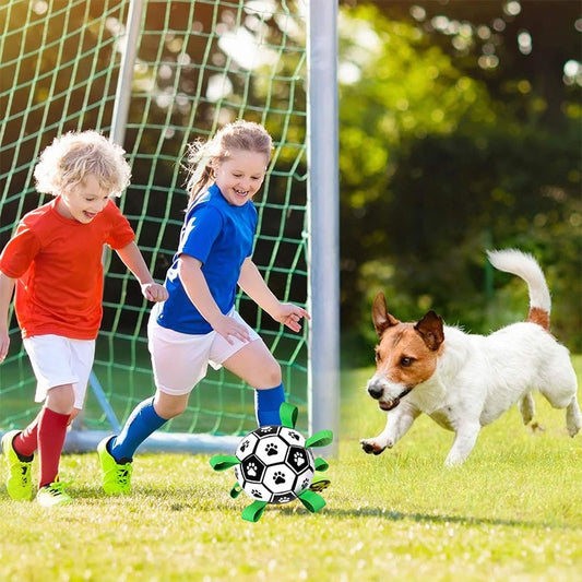 🐕 Labdarúgó játék kutyáknak ⚽