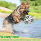 🐕 Labdarúgó játék kutyáknak ⚽