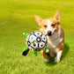 🐕 Labdarúgó játék kutyáknak ⚽