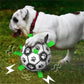 🐕 Labdarúgó játék kutyáknak ⚽