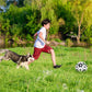 🐕 Labdarúgó játék kutyáknak ⚽