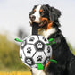 🐕 Labdarúgó játék kutyáknak ⚽
