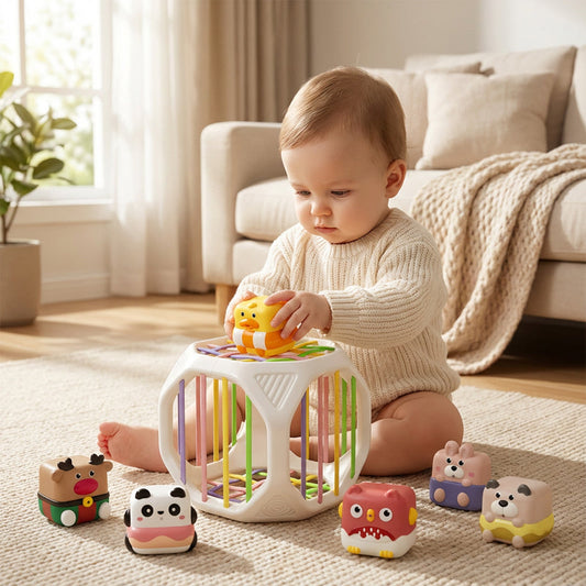 Montessori érzékszervi osztályozási játék, kisgyermekek számára alkalmas