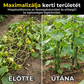 🌿 Kúszónövény-támasztó háló 🌸 Utánvéttel