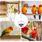🐦❤️ Vasból készült, szív alakú virágos madáretető【✨ Utánvétes fizetés】