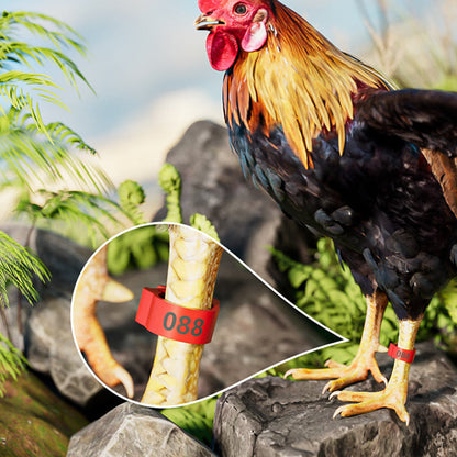 🐔 Csipkés rögzítésű baromfi-lábgyűrű | Baromfi-azonosító lábgyűrű