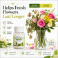 Water Purifying Tablets for Hydroponic Plants and Cut Flowers