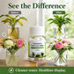 Water Purifying Tablets for Hydroponic Plants and Cut Flowers
