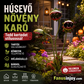 🏡 Húsevő növény kerti dísz – egyedi fémkaró játékos külterekhez 🌻