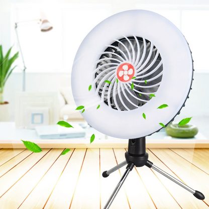 Portable Fan Light