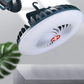 Portable Fan Light