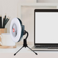 Portable Fan Light