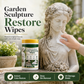 Outdoor Garden Sculpture Color Enhancing and Cleaning Wipes 40-Count