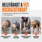 🐕 Kutyáknak készült mentőmellény cserélhető elülső úszópárnával 🏊‍♂️