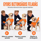 🐕 Kutyáknak készült mentőmellény cserélhető elülső úszópárnával 🏊‍♂️