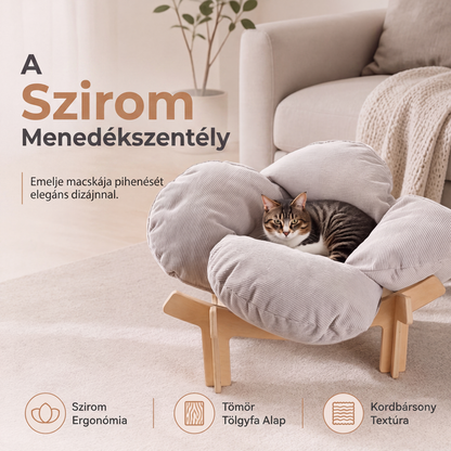🐾 Magasított, szirom alakú fa kisállatágy párnával【✨Ingyenes szállítás】