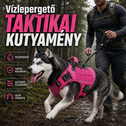 🐕Állítható háziállat hordozóheveder – Kényelmes és biztonságos kisállatok szállításához