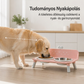 🐶 Magasított, leszerelhető, csúszásgátló és felborulásgátló kisállat-etetőtál