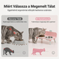 🐶 Magasított, leszerelhető, csúszásgátló és felborulásgátló kisállat-etetőtál