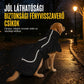 🐕 Vastagított, meleg téli kutyakabát pamutbéléssel, közepes és nagytestű kutyák számára