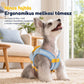 🐶 Mellény stílusú háti hordozó kutyáknak/macskáknak