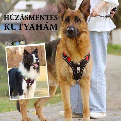 🐕 Húzásgátló kutyahám, LED-es nyakörvvel – vastagabb párnázással, elülső részén D-gyűrűvel