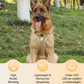 🐕 Húzásgátló kutyahám, LED-es nyakörvvel – vastagabb párnázással, elülső részén D-gyűrűvel